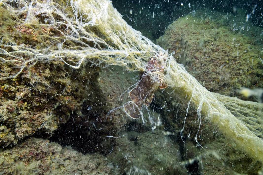 Marmara'da depremden sonra en büyük felaket sinsi sinsi gerçekleşiyor! Hiç kimse farkında değil, böyle görüntülendi 2